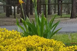 14741 N Sugar Pine Way, La Pine, OR 97739 - Photo 45