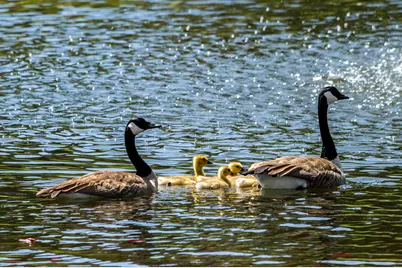 11234 Bunk House Lane, Redmond, OR 97756 - Photo 29