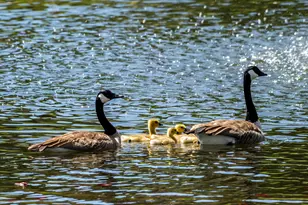11234 Bunk House Ln, Redmond, OR 97756 - Photo 29