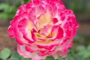 349 Lindero Ave, Medford, OR 97504 - Photo 79