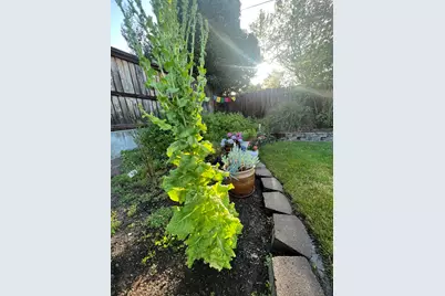 349 Lindero Avenue, Medford, OR 97504 - Photo 65