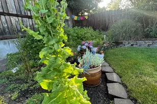 349 Lindero Ave, Medford, OR 97504 - Photo 65