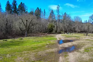 1449 Rockydale Rd, Cave Junction, OR 97523 - Photo 5