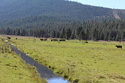 12046 Old Fort Road, Klamath Falls, OR 97601 - Photo 23