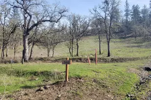 Messinger Rd, Grants Pass, OR 97527 - Photo 1