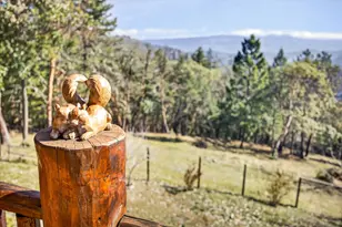 4466 W Griffin Creek Rd, Medford, OR 97501 - Photo 65