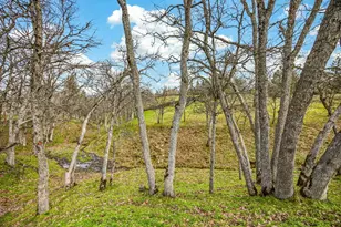 523 Strawberry Ln, Ashland, OR 97520 - Photo 75