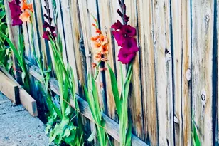 4890 Weyerhaeuser Rd, Klamath Falls, OR 97601 - Photo 11