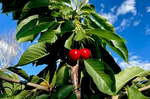 4890 Weyerhaeuser Rd, Klamath Falls, OR 97601 - Photo 9