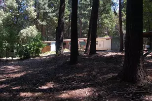 350 Hamilton Ave, Cave Junction, OR 97523 - Photo 23