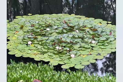 313 Eagle Ridge Drive, Grants Pass, OR 97526 - Photo 63