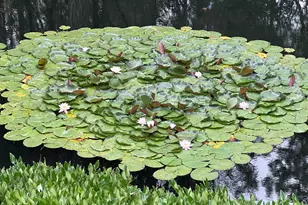 313 Eagle Ridge Dr, Grants Pass, OR 97526 - Photo 63