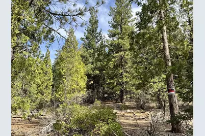 0 Whale Lane, Bonanza, OR 97623 - Photo 1