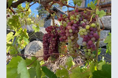 1940 Soda Mountain Road, Ashland, OR 97520 - Photo 43