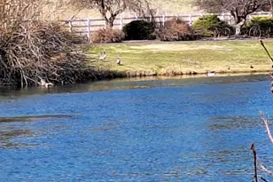 414 N Baker Ave, Chiloquin, OR 97624 - Photo 33