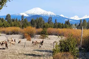 16768 Sandy Ct, La Pine, OR 97739 - Photo 59