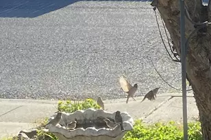 517 SW Marshall St, Madras, OR 97741 - Photo 31