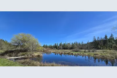 147 Warren Road, Selma, OR 97538 - Photo 5