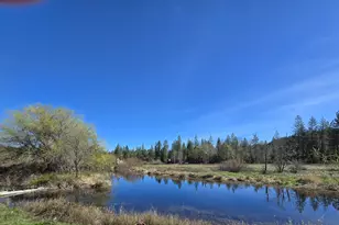 147 Warren Rd, Selma, OR 97538 - Photo 5