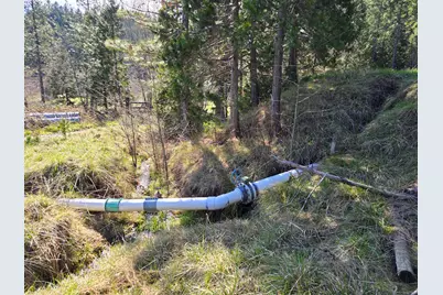 147 Warren Road, Selma, OR 97538 - Photo 11