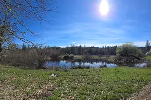 147 Warren Rd, Selma, OR 97538 - Photo 7