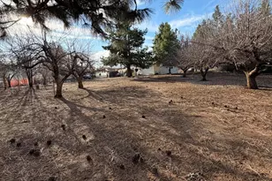 9810 Puckett Ln, Klamath Falls, OR 97601 - Photo 9