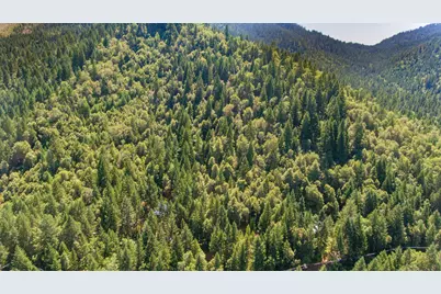 4901 Thompson Creek Road, Selma, OR 97538 - Photo 27