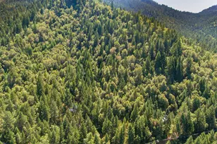 4901 Thompson Creek Rd, Selma, OR 97538 - Photo 27