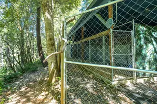 4901 Thompson Creek Rd, Selma, OR 97538 - Photo 23