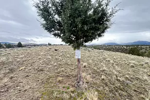 58392 Antelope Ln, John Day, OR 97845 - Photo 41