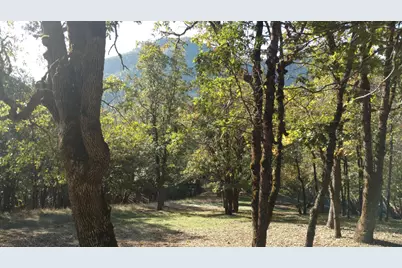 0 N Sixth Avenue #TL 903, Gold Hill, OR 97525 - Photo 11