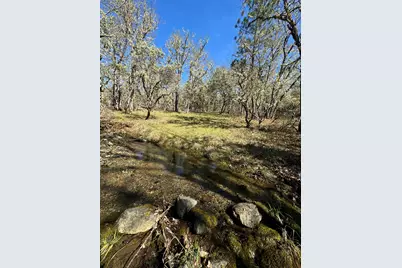541 Board Shanty Road, Grants Pass, OR 97527 - Photo 29