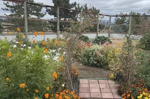 11301 SW Robinson Ln, Powell Butte, OR 97753 - Photo 33