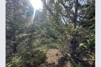 235 Eagle Ridge Drive, Grants Pass, OR 97526 - Photo 3