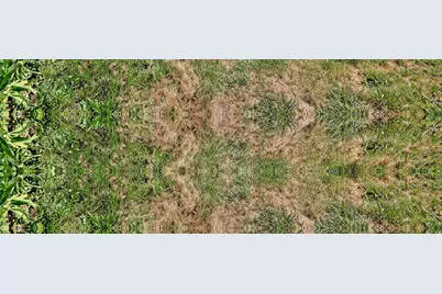 4464 Tioga Way, Central Point, OR 97502 - Photo 33