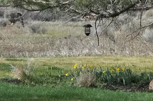 69592 Lake Dr, Sisters, OR 97759 - Photo 53