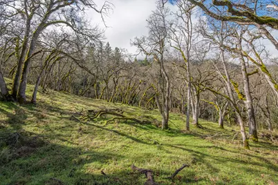 3727 Old Siskiyou Highway, Ashland, OR 97520 - Photo 7