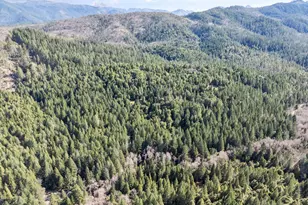 1259 Waldo Rd, O'Brien, OR 97534 - Photo 39