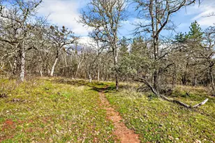 814 Steepleview Dr, Jacksonville, OR 97530 - Photo 7