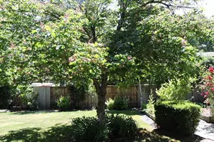 1025 Anglers Pl, Shady Cove, OR 97539 - Photo 43