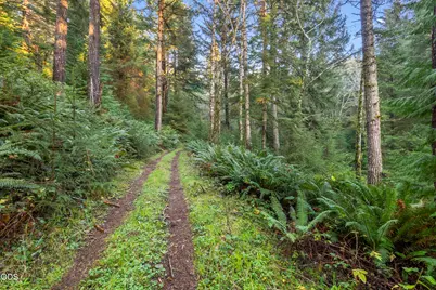 45721 U.S. 101, Langlois, OR 97450 - Photo 9