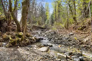 8081 W Evans Creek Rd, Rogue River, OR 97537 - Photo 3