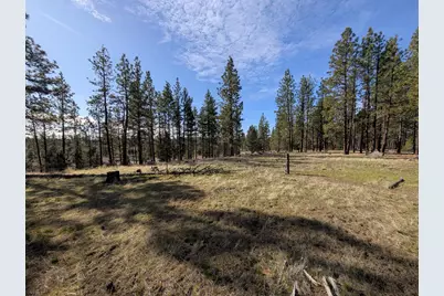 28660 Yonna Wood Road, Bonanza, OR 97623 - Photo 3