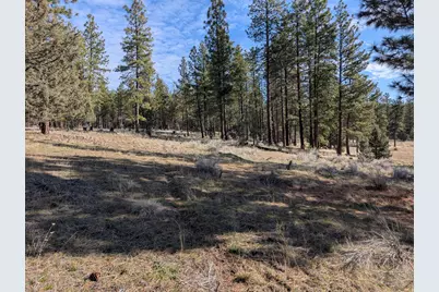 28660 Yonna Wood Road, Bonanza, OR 97623 - Photo 17