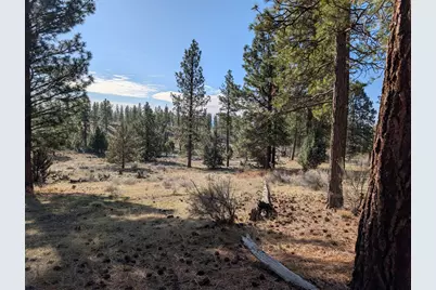 28660 Yonna Wood Road, Bonanza, OR 97623 - Photo 5