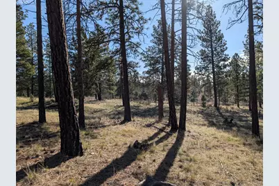 28660 Yonna Wood Road, Bonanza, OR 97623 - Photo 9