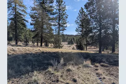 28660 Yonna Wood Road, Bonanza, OR 97623 - Photo 13