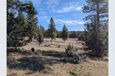 28660 Yonna Wood Road, Bonanza, OR 97623 - Photo 1