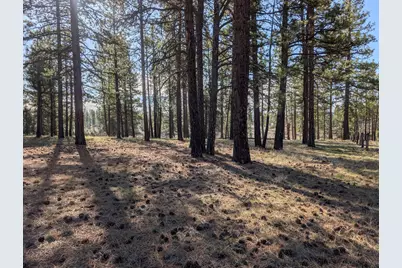 28660 Yonna Wood Road, Bonanza, OR 97623 - Photo 7