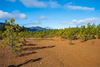 499 Laurel Road, Cave Junction, OR 97523 - Photo 9